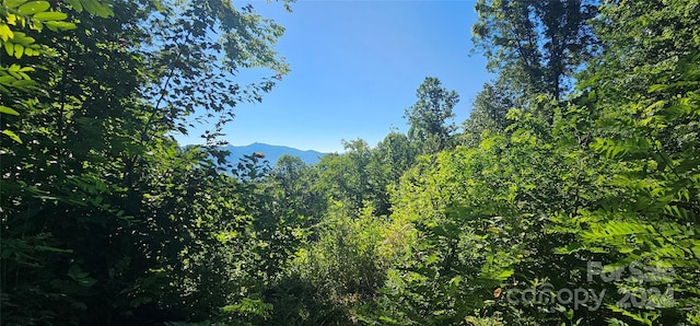 8LOTS Pot Leg Rd, Waynesville, NC 28751 - photo 9