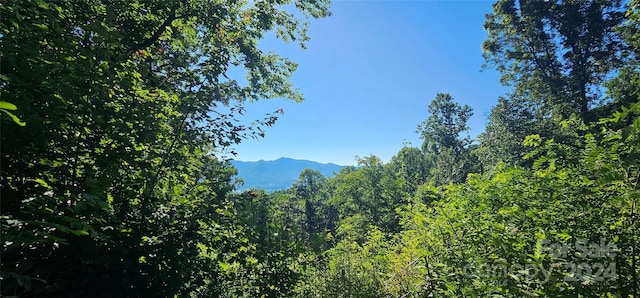 8LOTS Pot Leg Rd, Waynesville, NC 28751 - photo 10