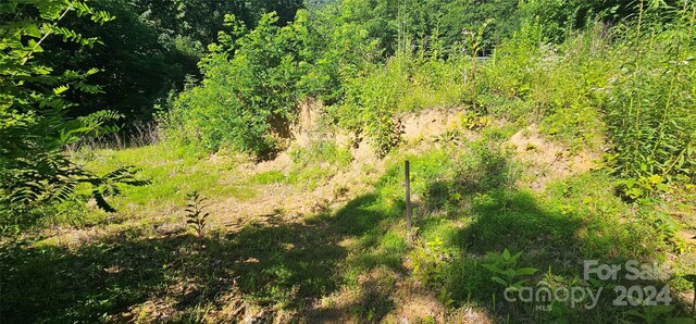 8LOTS Pot Leg Rd, Waynesville, NC 28751 - photo 11