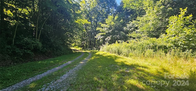 8LOTS Pot Leg Rd, Waynesville, NC 28751 - photo 12