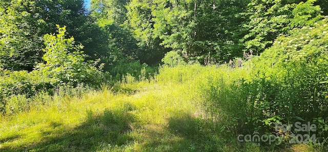 8LOTS Pot Leg Rd, Waynesville, NC 28751 - photo 13