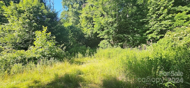 8LOTS Pot Leg Rd, Waynesville, NC 28751 - photo 14