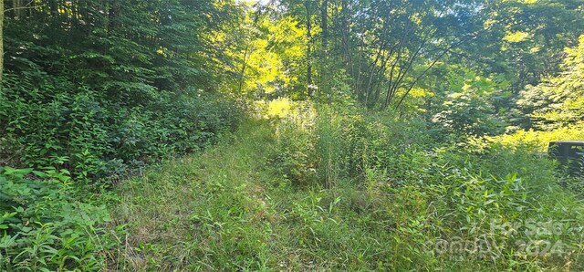 8LOTS Pot Leg Rd, Waynesville, NC 28751 - photo 15