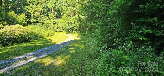 8LOTS Pot Leg Rd, Waynesville, NC 28751 - photo 16