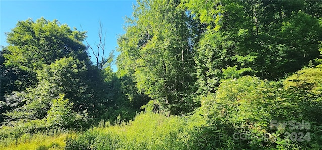 8LOTS Pot Leg Rd, Waynesville, NC 28751 - photo 17