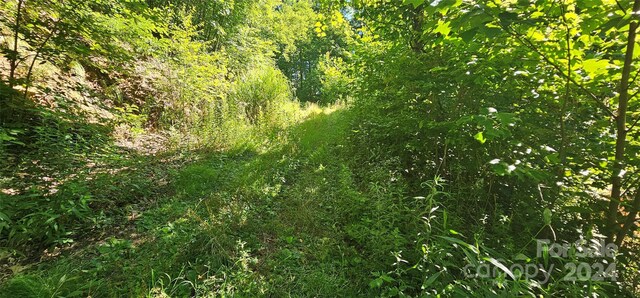 8LOTS Pot Leg Rd, Waynesville, NC 28751 - photo 18
