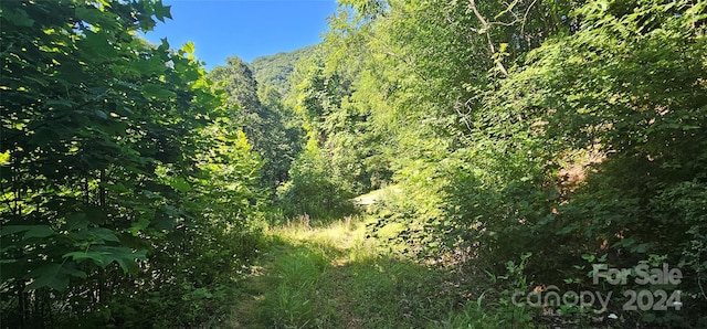 8LOTS Pot Leg Rd, Waynesville, NC 28751 - photo 19