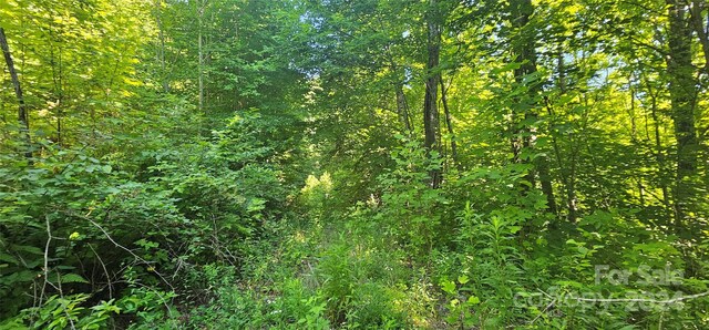 8LOTS Pot Leg Rd, Waynesville, NC 28751 - photo 20