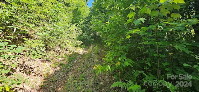 8LOTS Pot Leg Rd, Waynesville, NC 28751 - photo 21