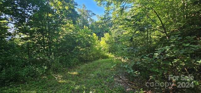8LOTS Pot Leg Rd, Waynesville, NC 28751 - photo 22