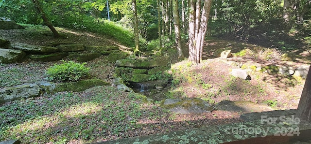 8LOTS Pot Leg Rd, Waynesville, NC 28751 - photo 25