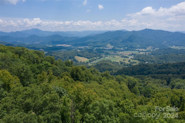 8LOTS Pot Leg Rd, Waynesville NC, 28751 land for sale