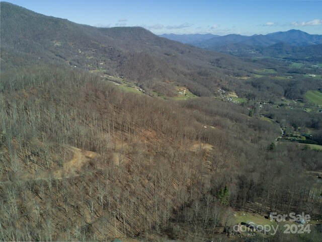 Listing photo 3 for 8LOTS Pot Leg Rd, Waynesville NC 28751