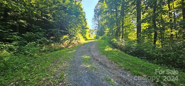 8LOTS Pot Leg Rd, Waynesville, NC 28751 - photo 5