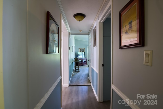 hallway with crown molding and dark hardwood / wood-style flooring