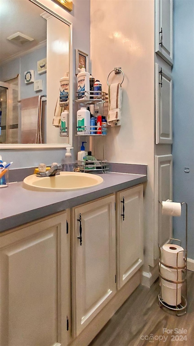 bathroom with vanity and hardwood / wood-style flooring