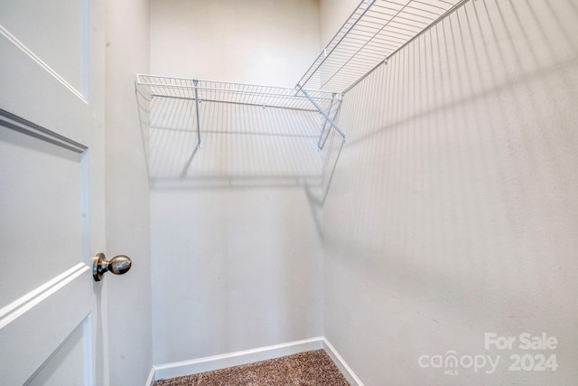 walk in closet with carpet floors