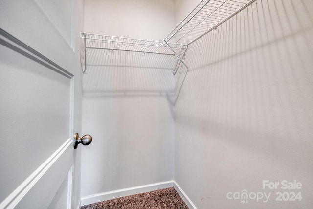 walk in closet featuring carpet floors