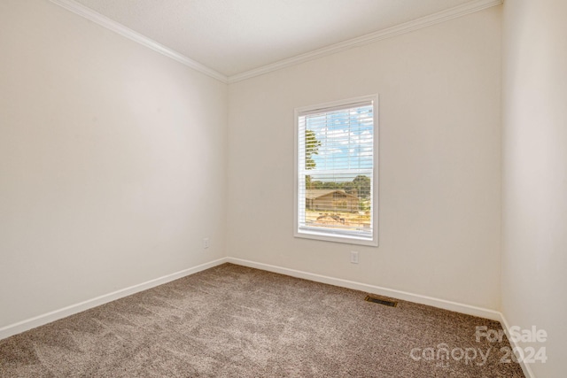 empty room with carpet and crown molding