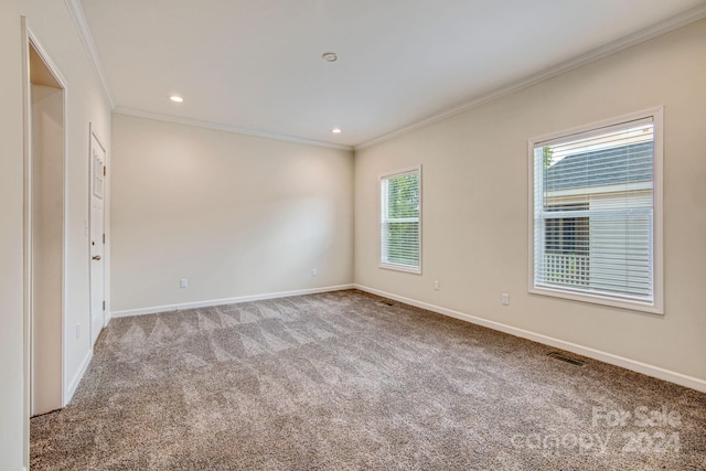 empty room featuring light colored carpet and ornamental molding