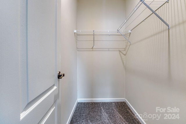 walk in closet featuring carpet flooring