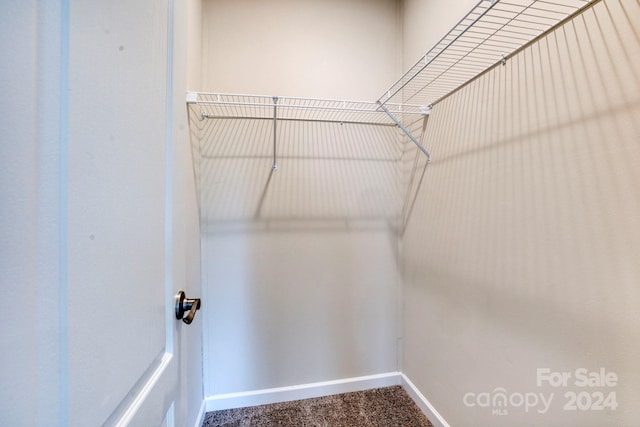 walk in closet featuring carpet floors