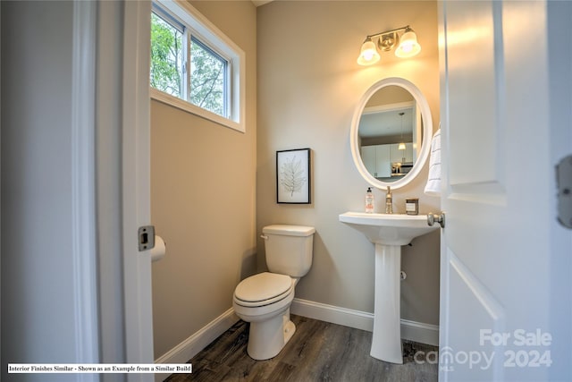 bathroom with hardwood / wood-style floors and toilet