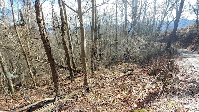 Listing photo 2 for 2100 Chambers Mountain Rd, Clyde NC 28721