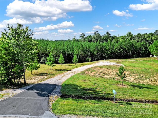 947 Old Nunnery Farm Rd, Fort Lawn SC, 29714 land for sale