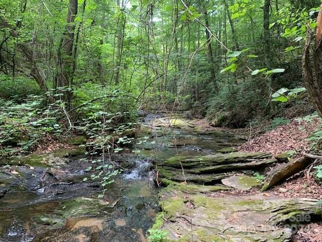 view of local wilderness