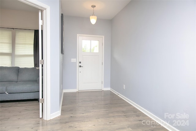 entrance foyer featuring wood-type flooring