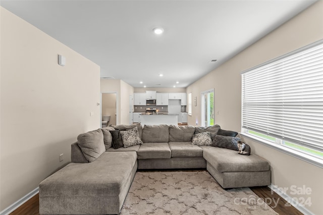 living room featuring light hardwood / wood-style floors