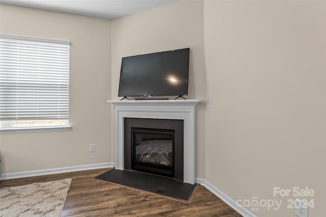 interior details featuring hardwood / wood-style floors