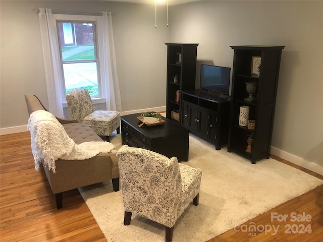 living room featuring hardwood / wood-style flooring