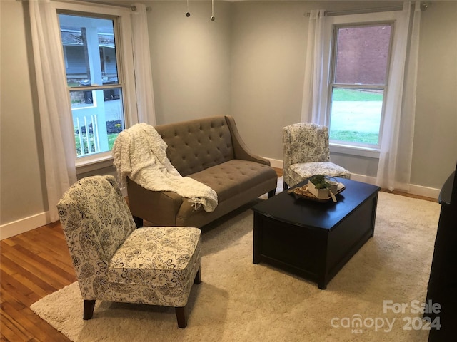 living room with hardwood / wood-style floors