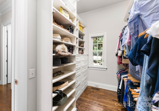 spacious closet with dark wood-type flooring