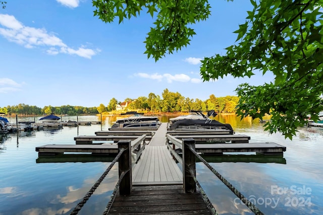 dock area featuring a water view