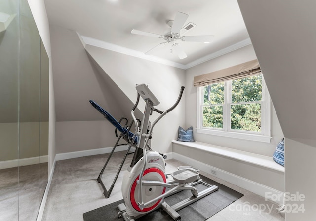 exercise room featuring ceiling fan and ornamental molding