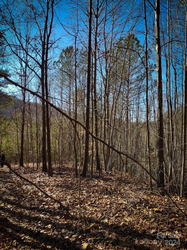 Listing photo 2 for TBD Pine Needle Ln, Nebo NC 28761