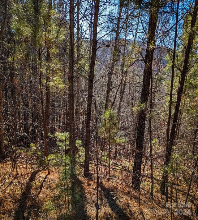 TBD Pine Needle Lane, Nebo, NC 28761