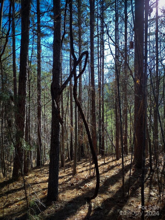 TBD Pine Needle Lane, Nebo, NC 28761