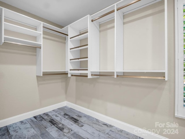 spacious closet featuring hardwood / wood-style flooring