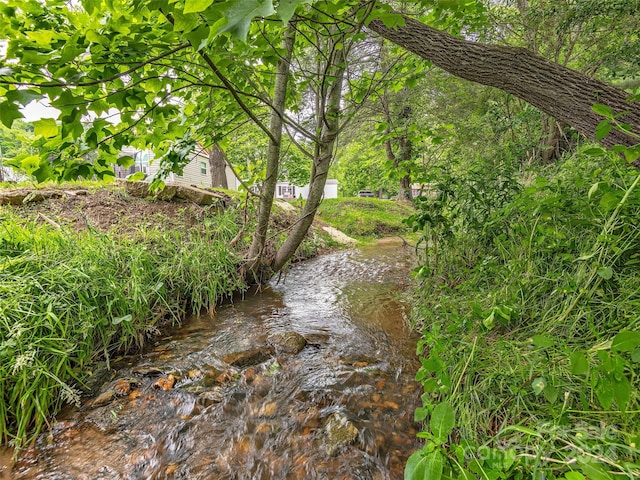 view of nature