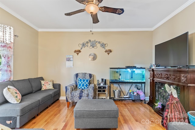 living room featuring ceiling fan, light hardwood / wood-style flooring, and crown molding