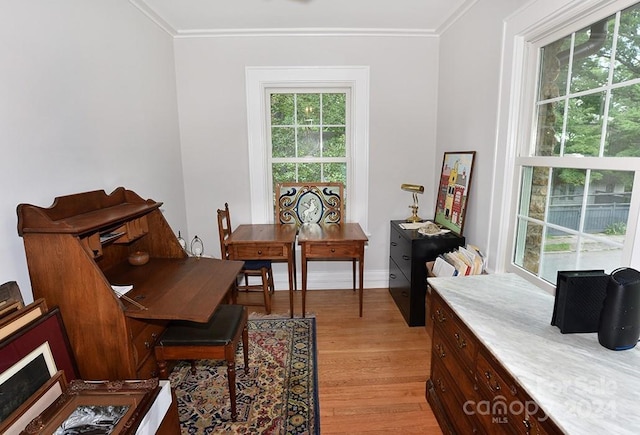 interior space featuring crown molding and light hardwood / wood-style floors