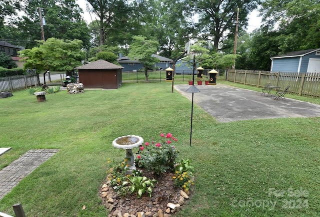 view of yard featuring a patio area and a shed