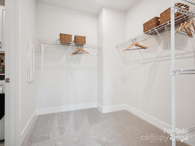 spacious closet featuring carpet flooring