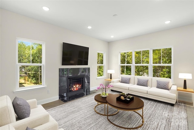 living room featuring a healthy amount of sunlight, hardwood / wood-style floors, and a fireplace