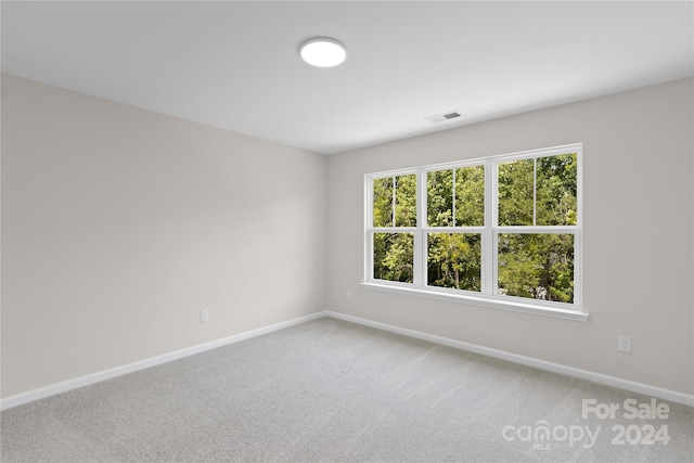 spare room with carpet flooring and a wealth of natural light