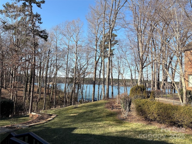 view of yard with a water view